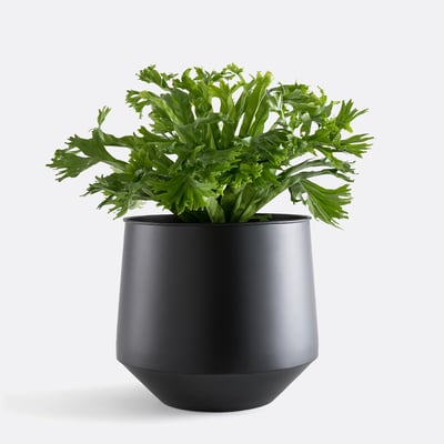 Cache-pot en métal Ø30 cm, Anaïa LA REDOUTE INTERIEURS