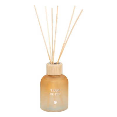 Diffuseur de parfum TERRE D'AILLEURS ATMOSPHERA