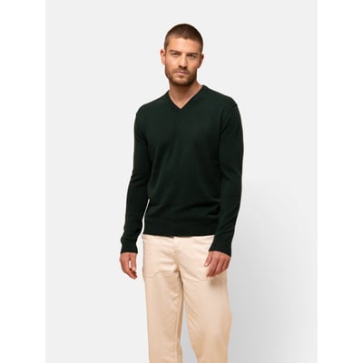 Pull Col V  Cyprès Tom JUST CASHMERE