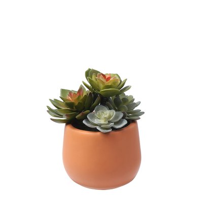 Succulente artificielle en pot H10 SIA DECO