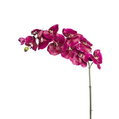 Tige d'orchidée phalaenopsis artificielle H104 SIA DECO