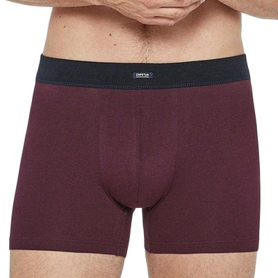 Boxer en coton ceinture tubulaire sans coutures IMPETUS