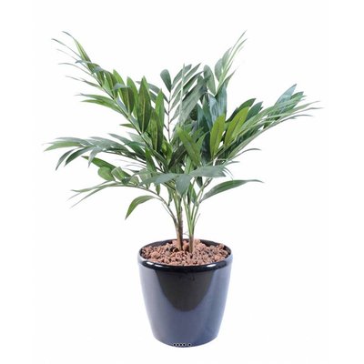 Palmier Parlour Artificiel H 65 cm D 55 cm ARTIFICIELLES