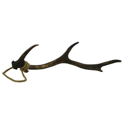 Bois de cerf en polyrésine dorée 47 cm AUBRY GASPARD