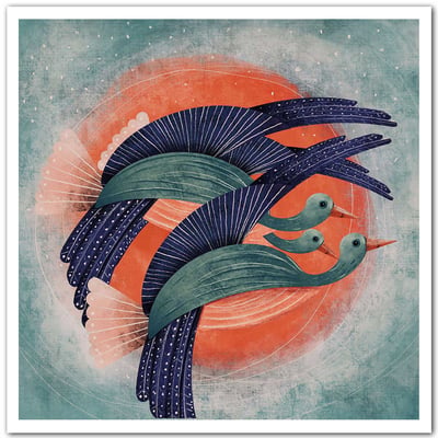 Affiche illustration oiseau lyre HEXOA