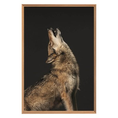 Tableau Mural Encadré Loup Hurlant ANIMAUX CEANOTHE