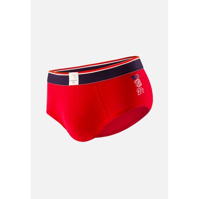 Slip en coton TERRIBLE LE SLIP FRANCAIS