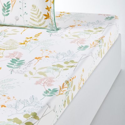 Drap housse percale de coton, Herbarium LA REDOUTE INTERIEURS