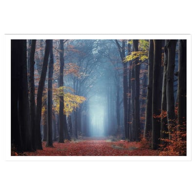 Affiche ""Lumière douce d'automne"" HEXOA