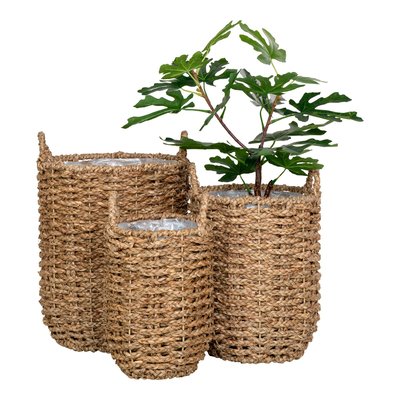 Cache-pot en jonc de mer avec anses (lot de 3) PIER IMPORT