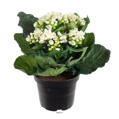 Kalanchoé artificiel en pot H 20 cm adorable ARTIFICIELLES
