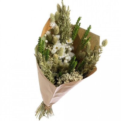 Bouquet de fleurs séchées Blanches & Vertes 50 cm NATURALYS