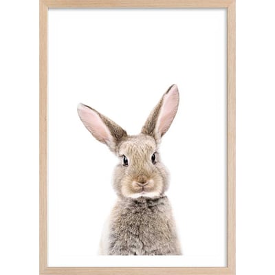 Affiche enfant bébé lapin HEXOA