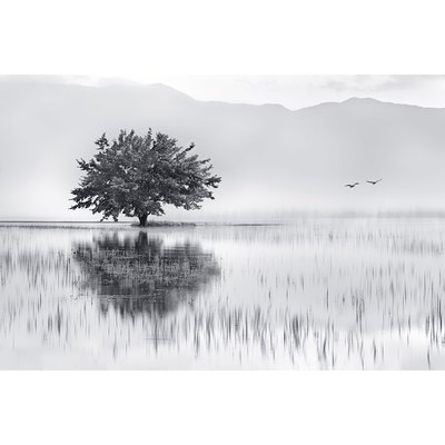 Tableau nature reflets d'eau HEXOA