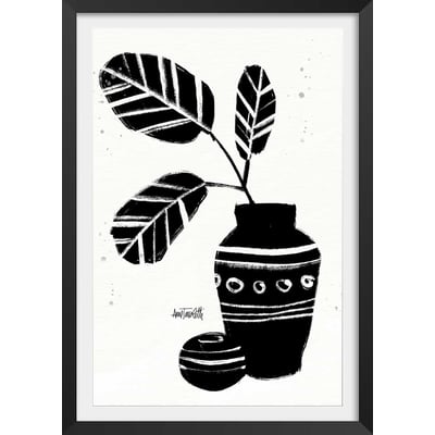 Illustration Botanique et Poterie azteque HEXOA