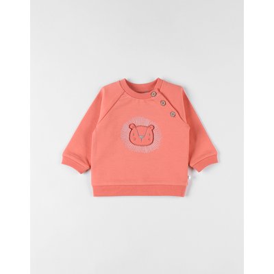 Sweat lion, terracotta NOUKIE'S