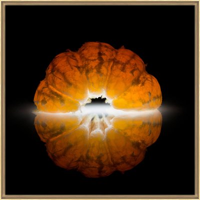 Tirage Encadré Sur Verre Synthétique Mandarine TIRAGE D'ART CEANOTHE