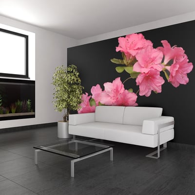 Papier peint intissé panoramique Fleurs Azalea in Black EDEN