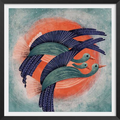 Affiche illustration oiseau lyre HEXOA