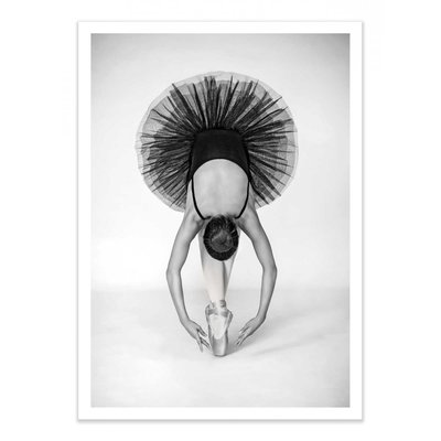 Affiche d’art 30 x 40 cm - Ballet Technique - Pauline Pentony MA WALL EDITIONS