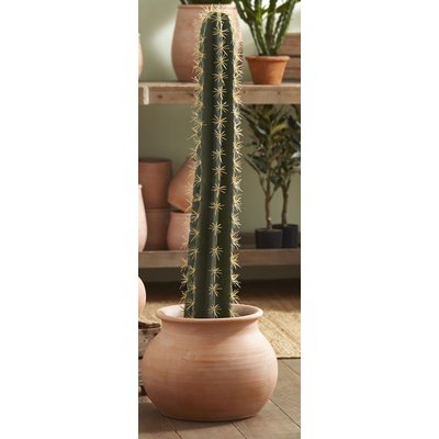 Cactus cierge en pot 104 cm AMADEUS