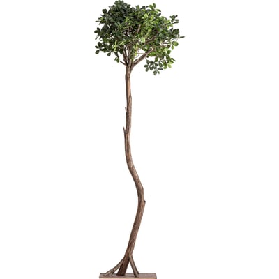 Ficus artificiel au feuillage dense RECOLLECTION