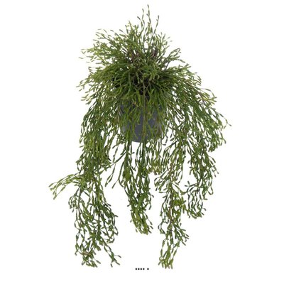 Rhipsalis artificiel, cactus gui feuillage ARTIFICIELLES