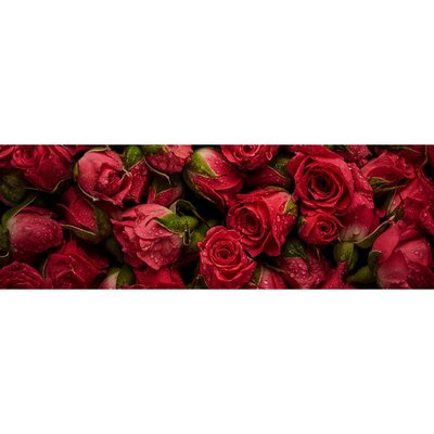 Tableau Sur Toile Roses Rouges FLEUR CEANOTHE