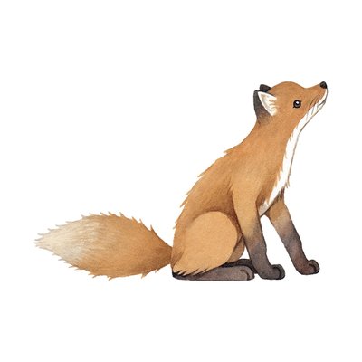 Sticker mural renard FOREST LILIPINSO