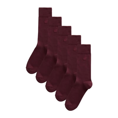 Chaussettes fraîcheur brodées NEXT