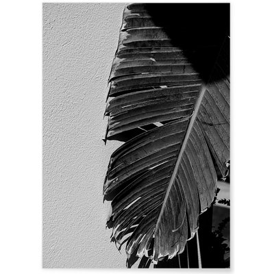 Poster Palmier noir et blanc 2 L'AFFICHERIE