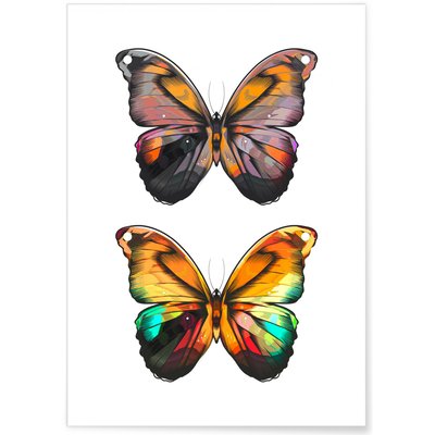 Poster Papillons L'AFFICHERIE