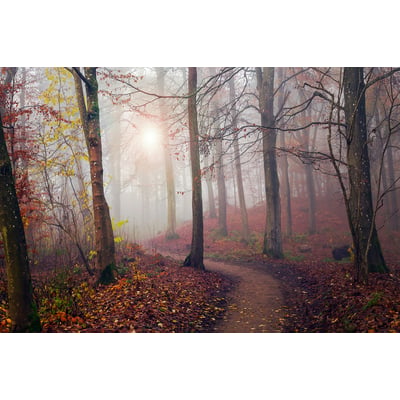 Tableau Automne jaune HEXOA