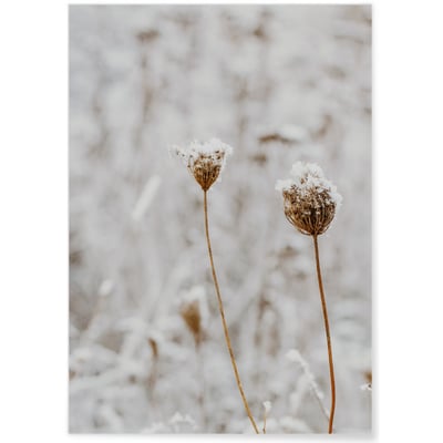 Poster Nature Winter 3 L'AFFICHERIE