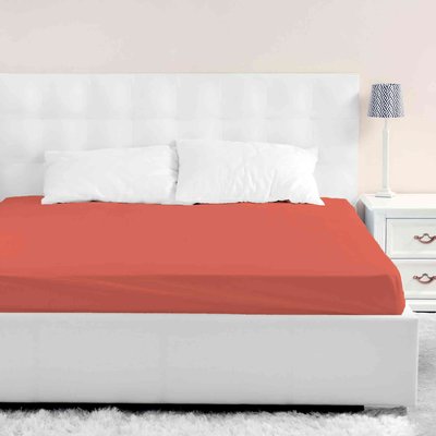 Drap housse coton jersey bonnet 40 cm TERRE DE NUIT