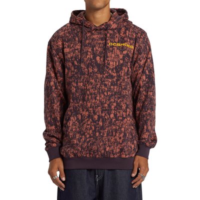 Sweat à capuche SHUTTLE. DC SHOES