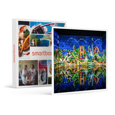 Découverte en famille des Bassins des Lumières à Bordeaux : entrée pour 2 adultes et 2 jeunes - SMARTBOX - Coffret Cadeau Sport et Aventure SMARTBOX