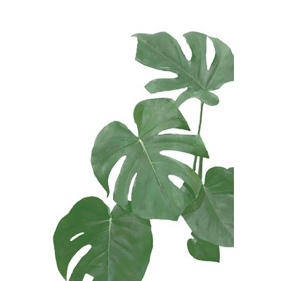 Tableau Feuilles de Monstera HEXOA