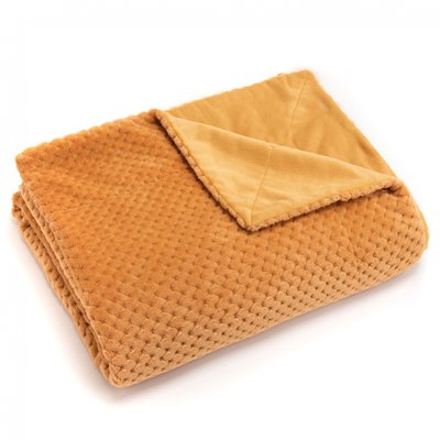 Plaid Damier - Amadeus AMADEUS