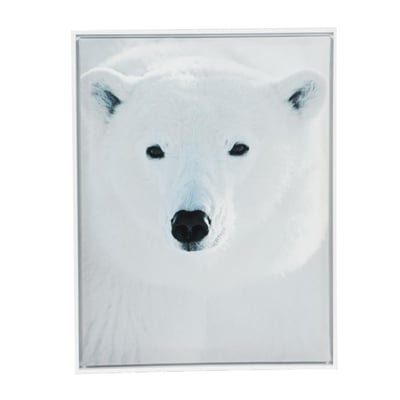 Toile ours polaire   60x80 cm AMADEUS