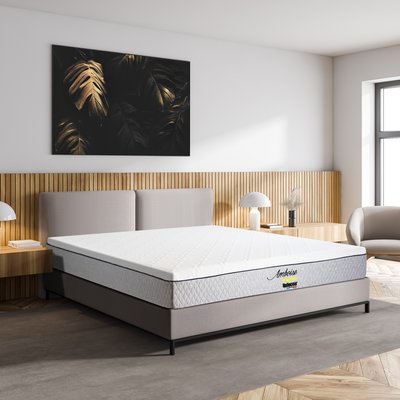 Ensemble Matelas Mémoire de forme + Protège matelas anti punaise AMBOISE BELLECOUR