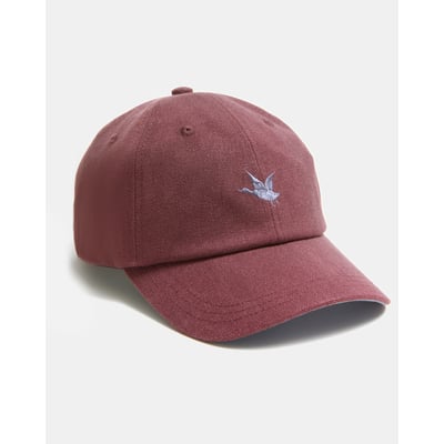 Casquette en coton DARWIN CHEVIGNON