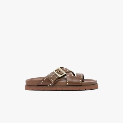 Mule WEST BOCAGE