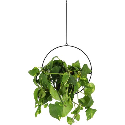 Jardinière déco ronde d'intérieur en métal noir A suspendre JARDINDECO