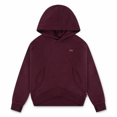 Sweat en molleton gratté, logo poitrine LEVI'S KIDS