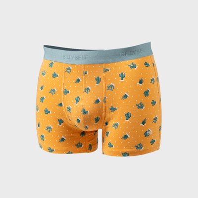 Boxer en coton biologique FANTAISIE BILLYBELT