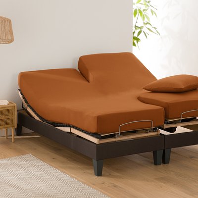 Drap housse jersey, lit articulé, Scenario LA REDOUTE INTERIEURS