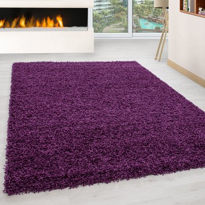 Tapis intérieur à poils longs OTTAWA NAZAR RUGS