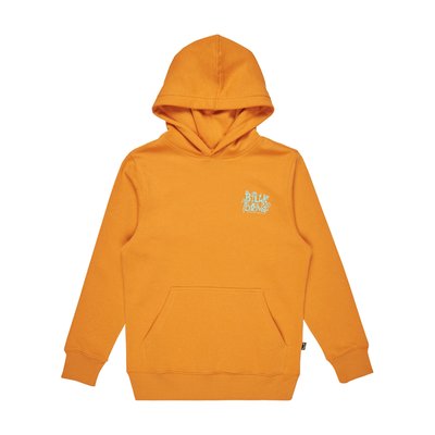 Sweat à capuche FOUNDATION BILLABONG