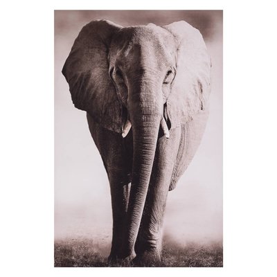 Toile imprimée ANIMAUX ATMOSPHERA